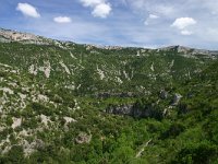 F, Herault, Saint-Maurice-Navacelles, Gorge de la Vis 7, Saxifraga-Dirk Hilbers