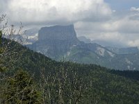 F, Isere, Chichilianne, Mont Aiguille 6, Saxifraga-Jan van der Straaten