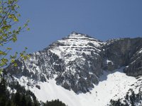 F, Isere, Gresse-en-Vercors, Aiguilette 1, Saxifraga-Jan van der Straaten