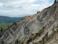 F, Isere, Gresse-en-Vercors, Balcon Est 14, Saxifraga-Jan van der Straaten