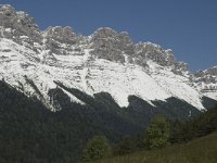 F, Isere, Gresse-en-Vercors, Balcon Est 22, Saxifraga-Jan van der Straaten