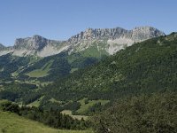 F, Isere, Gresse-en-Vercors, Balcon Est 27, Saxifraga-Willem van Kruijsbergen