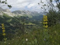 F, Isere, Gresse-en-Vercors, Brisou 20, Saxifraga-Willem van Kruijsbergen