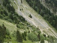 F, Isere, Gresse-en-Vercors, Col de l Aupet 18, Saxifraga-Willem van Kruijsbergen