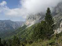 F, Isere, Gresse-en-Vercors, Col de l Aupet 3, Saxifraga-Jan van der Straaten