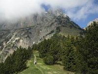 F, Isere, Gresse-en-Vercors, Col de l Aupet 5, Saxifraga-Jan van der Straaten