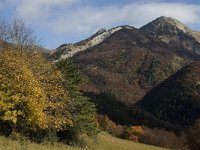 F, Isere, Gresse-en-Vercors, Col des Deux 7, Saxifraga-Jan van der Straaten