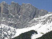 F, Isere, Gresse-en-Vercors, Grand Veymont 3, Saxifraga-Jan van der Straaten