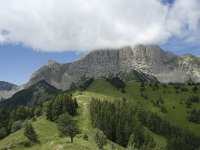 F, Isere, Gresse-en-Vercors, Grand Veymont 32, Saxifraga-Willem van Kruijsbergen