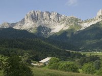 F, Isere, Gresse-en-Vercors, Grand Veymont 40, Saxifraga-Willem van Kruijsbergen