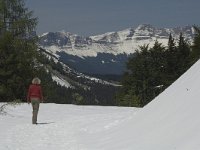 F, Isere, Gresse-en-Vercors, Les Deux Soeurs 1, Saxifraga-Jan van der Straaten