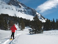 F, Isere, Gresse-en-Vercors, Les Hauts Plateaux 5, Saxifraga-Jan van der Straaten