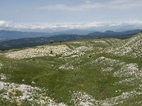 F, Isere, Gresse-en-Vercors, Les Hauts Plateaux 6, Saxifraga-Willem van Kruijsbergen