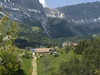 F, Isere, Gresse-en-Vercors, Les Perrins 1, Saxifraga-Jan van der Straaten