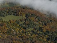 F, Isere, Gresse-en-Vercors, Monestier de Clermont 5, Saxifraga-Jan van der Straaten