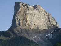 F, Isere, Gresse-en-Vercors, Mont Aiguille 13, Saxifraga-Jan van der Straaten