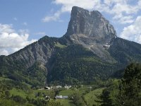 F, Isere, Gresse-en-Vercors, Mont Aiguille 22, Saxifraga-Marijke Verhagen