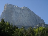 F, Isere, Gresse-en-Vercors, Mont Aiguille 27, Saxifraga-Jan van der Straaten