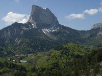 F, Isere, Gresse-en-Vercors, Mont Aiguille 29, Saxifraga-Marijke Verhagen