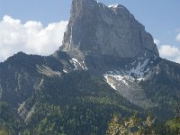 F, Isere, Gresse-en-Vercors, Mont Aiguille 33, Saxifraga-Jan van der Straaten