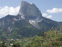 F, Isere, Gresse-en-Vercors, Mont Aiguille 35, Saxifraga-Jan van der Straaten