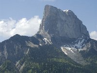 F, Isere, Gresse-en-Vercors, Mont Aiguille 36, Saxifraga-Jan van der Straaten