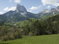 F, Isere, Gresse-en-Vercors, Mont Aiguille 37, Saxifraga-Jan van der Straaten