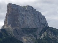 F, Isere, Gresse-en-Vercors, Mont Aiguille 41, Saxifraga-Willem van Kruijsbergen