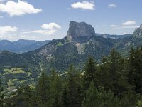 F, Isere, Gresse-en-Vercors, Mont Aiguille 43, Saxifraga-Willem van Kruijsbergen