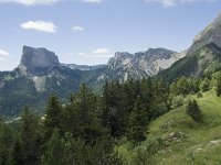 F, Isere, Gresse-en-Vercors, Mont Aiguille 44, Saxifraga-Willem van Kruijsbergen