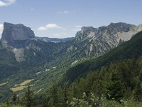 F, Isere, Gresse-en-Vercors, Mont Aiguille 46, Saxifraga-Willem van Kruijsbergen