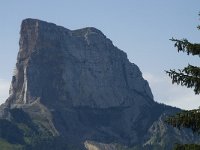 F, Isere, Gresse-en-Vercors, Mont Aiguille 51, Saxifraga-Willem van Kruijsbergen