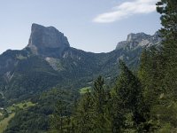 F, Isere, Gresse-en-Vercors, Mont Aiguille 52, Saxifraga-Willem van Kruijsbergen