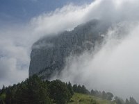 F, Isere, Gresse-en-Vercors, Mont Aiguille 56, Saxifraga-Willem van Kruijsbergen