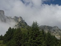 F, Isere, Gresse-en-Vercors, Mont Aiguille 57, Saxifraga-Willem van Kruijsbergen