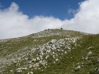 F, Isere, Gresse-en-Vercors, Montaveilla 1, Saxifraga-Willem van Kruijsbergen