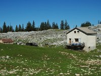 F, Isere, Gresse-en-Vercors, Nouvelle Jasse de la Chau 3, Saxifraga-Marijke Verhagen