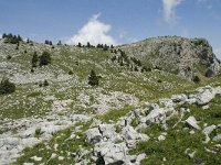 F, Isere, Gresse-en-Vercors, Pas de la Selle 15, Saxifraga-Willem van Kruijsbergen