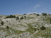 F, Isere, Gresse-en-Vercors, Pas de la Selle 16, Saxifraga-Willem van Kruijsbergen