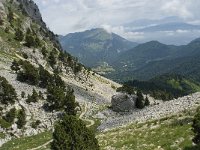 F, Isere, Gresse-en-Vercors, Pas de la Selle 29, Saxifraga-Willem van Kruijsbergen