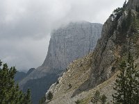 F, Isere, Gresse-en-Vercors, Pas de la Selle 40, Saxifraga-Willem van Kruijsbergen