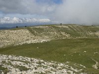 F, Isere, Gresse-en-Vercors, Pas de la Selle 41, Saxifraga-Willem van Kruijsbergen