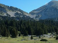 F, Isere, Gresse-en-Vercors, Pas de la Ville 4, Saxifraga-Marijke Verhagen