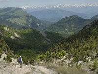 F, Isere, Gresse-en-Vercors, Pas des Bachassons 13, Saxifraga-Jan van der Straaten