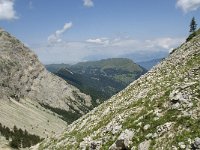 F, Isere, Gresse-en-Vercors, Pas des Bachassons 20, Saxifraga-Willem van Kruijsbergen