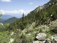 F, Isere, Gresse-en-Vercors, Pas des Bachassons 26, Saxifraga-Willem van Kruijsbergen