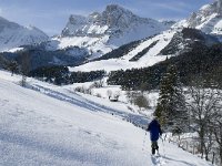 F, Isere, Gresse-en-Vercors, Pierre Blanche 10, Saxifraga-Jan van der Straaten