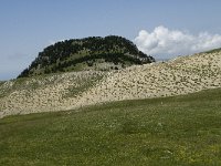 F, Isere, Gresse-en-Vercors, Roc Mazilier 1, Saxifraga-Willem van Kruijsbergen