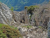 F, Isere, Gresse-en-Vercors, Roc de Cogniere 4, Saxifraga-Willem van Kruijsbergen