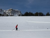 F, Isere, Gresse-en-Vercors, Roche Rousse 4, Saxifraga-Jan van der Straaten